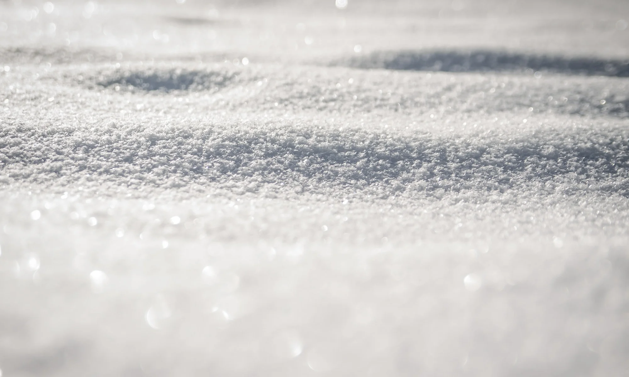 winter-snow-nature-60561 (2).jpeg