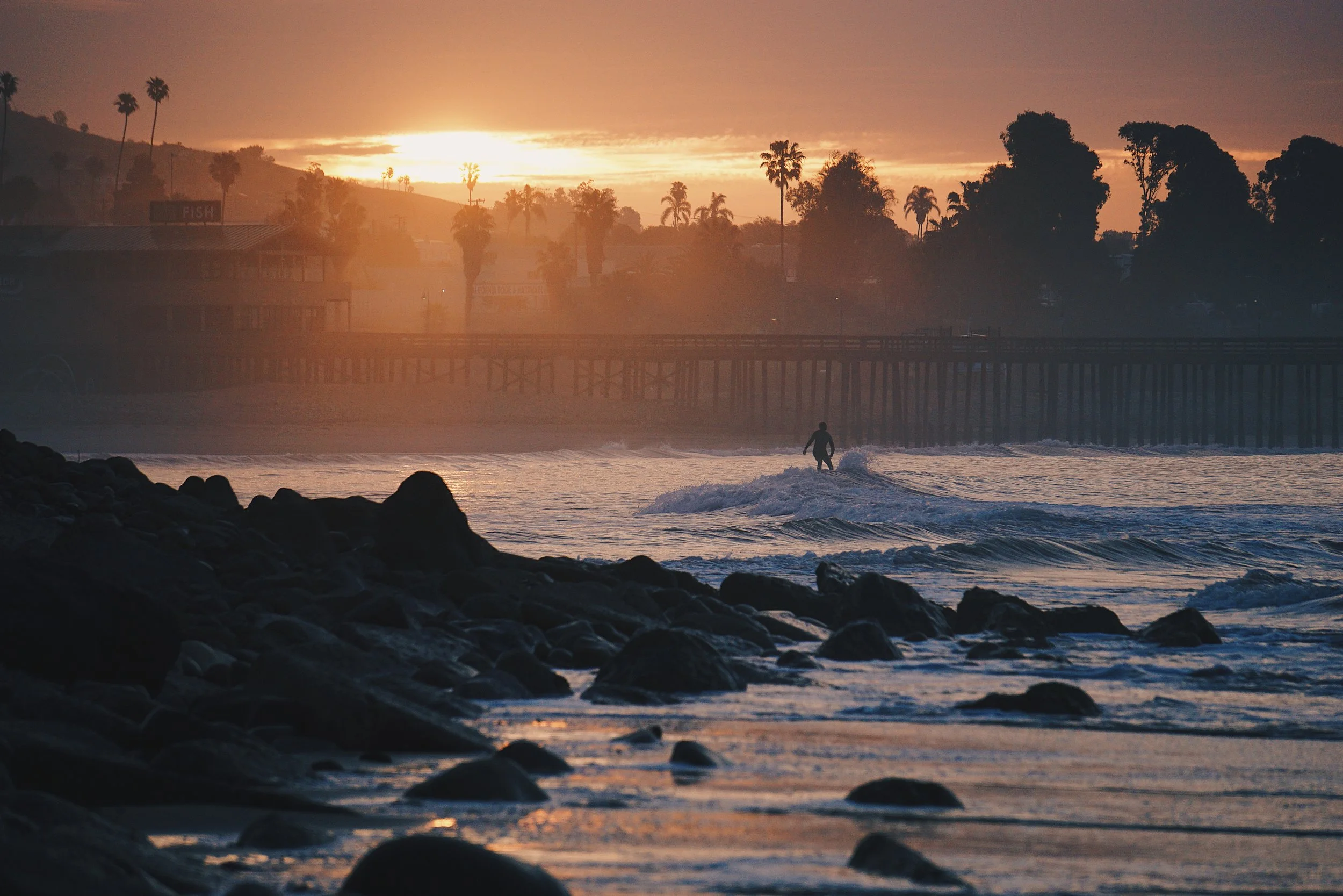 Qualified Biologists