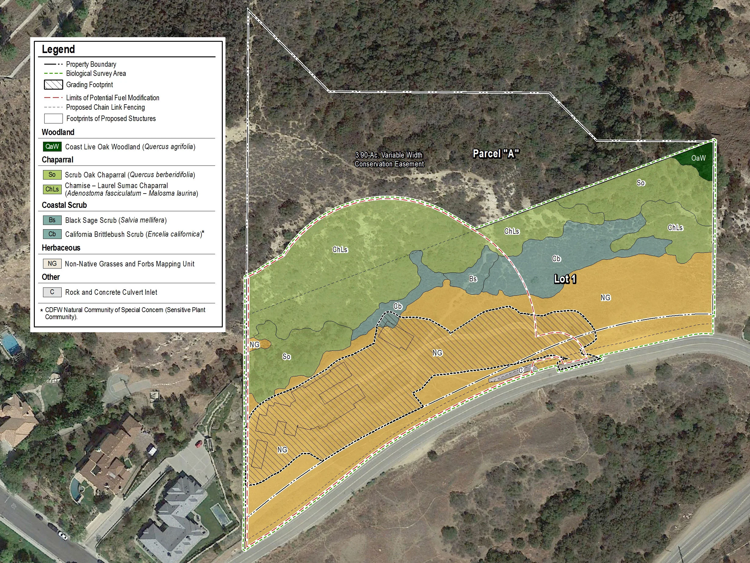 Vegetation Mapping