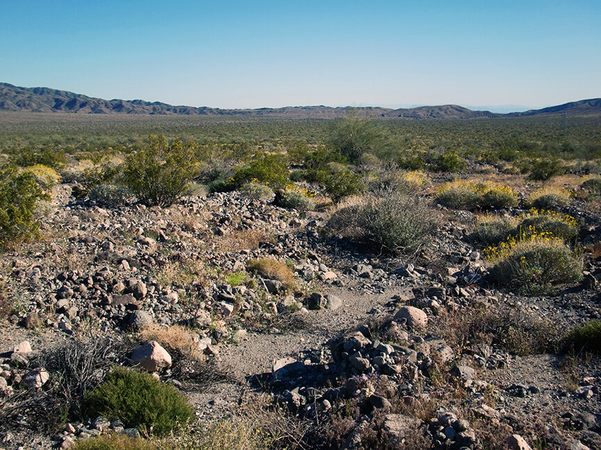 Habitat Conservation Planning