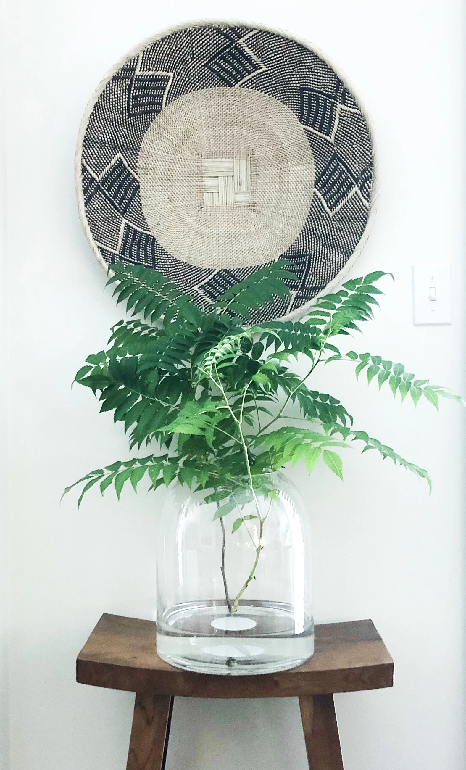 Update Stems in Vase.jpg