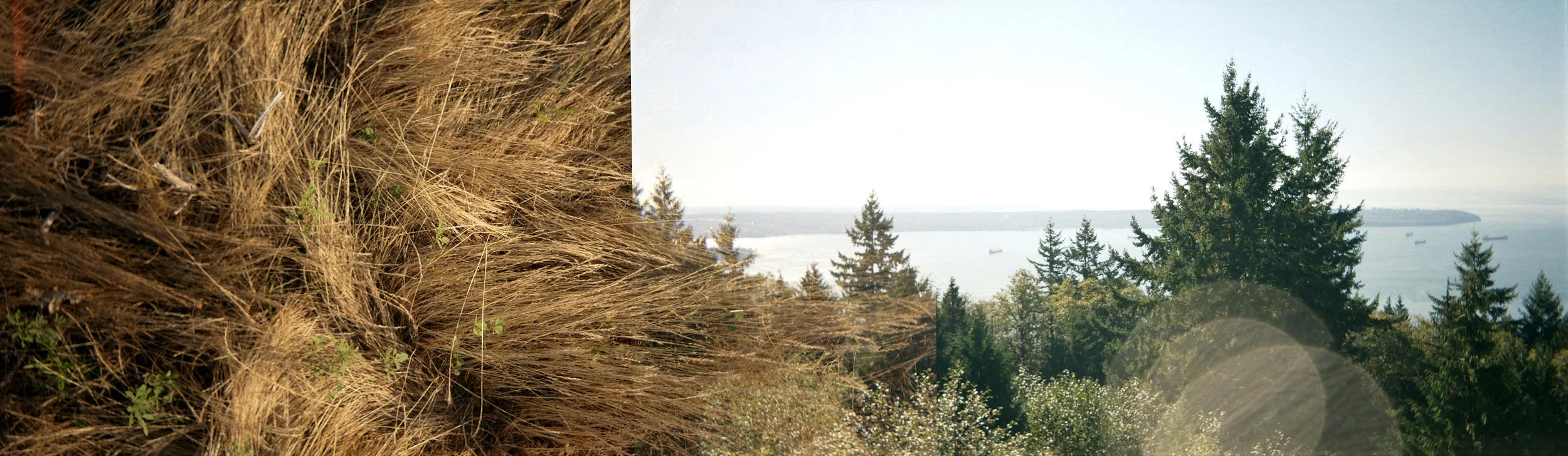 1_TheLand_AnaloguePhotograph_38x11_1500.jpg