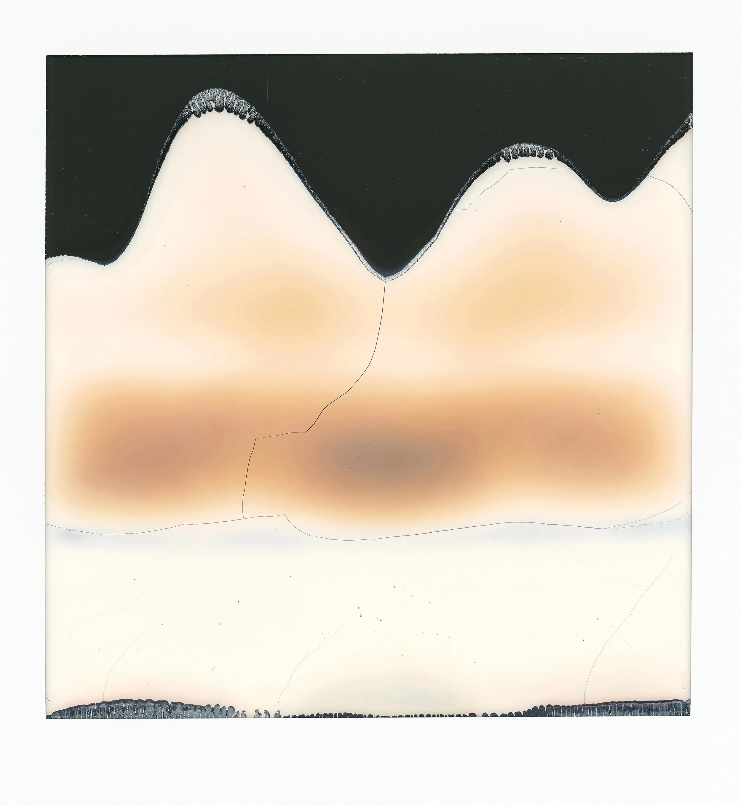 4_ToastedMarshmallow_Polaroid_16x16_1500.jpg