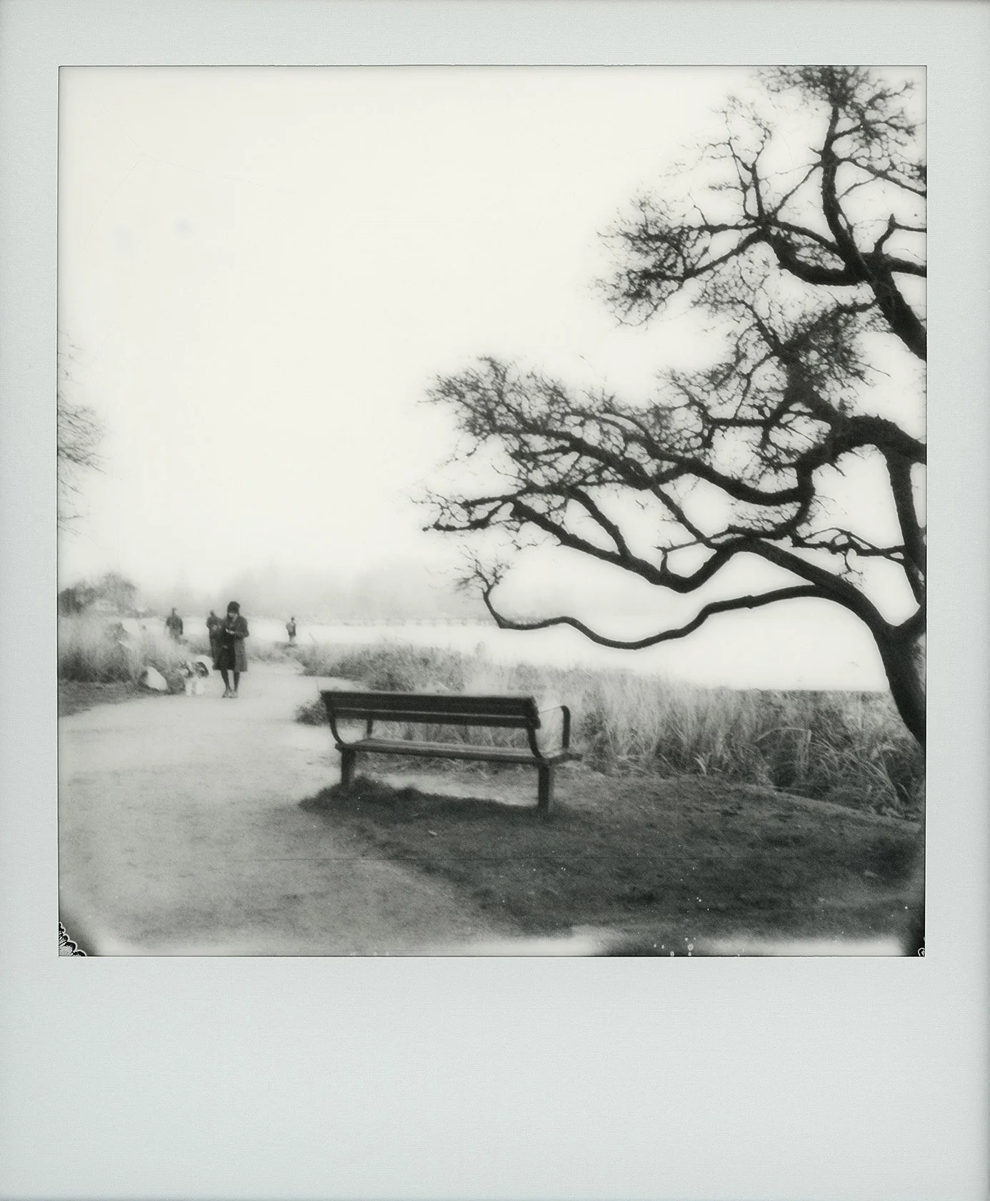 7_SitWithMeBelowThe OldTreeI_PolaroidBW_9-5x11_1000.jpg