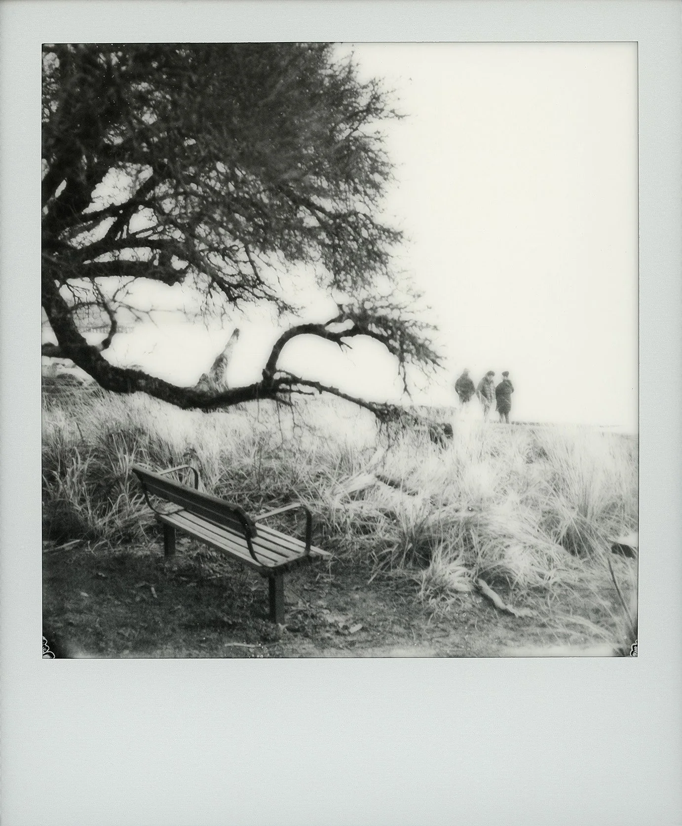 8_SitWithMeBelowThe OldTreeII_PolaroidBW_9-5x11_1000.jpg