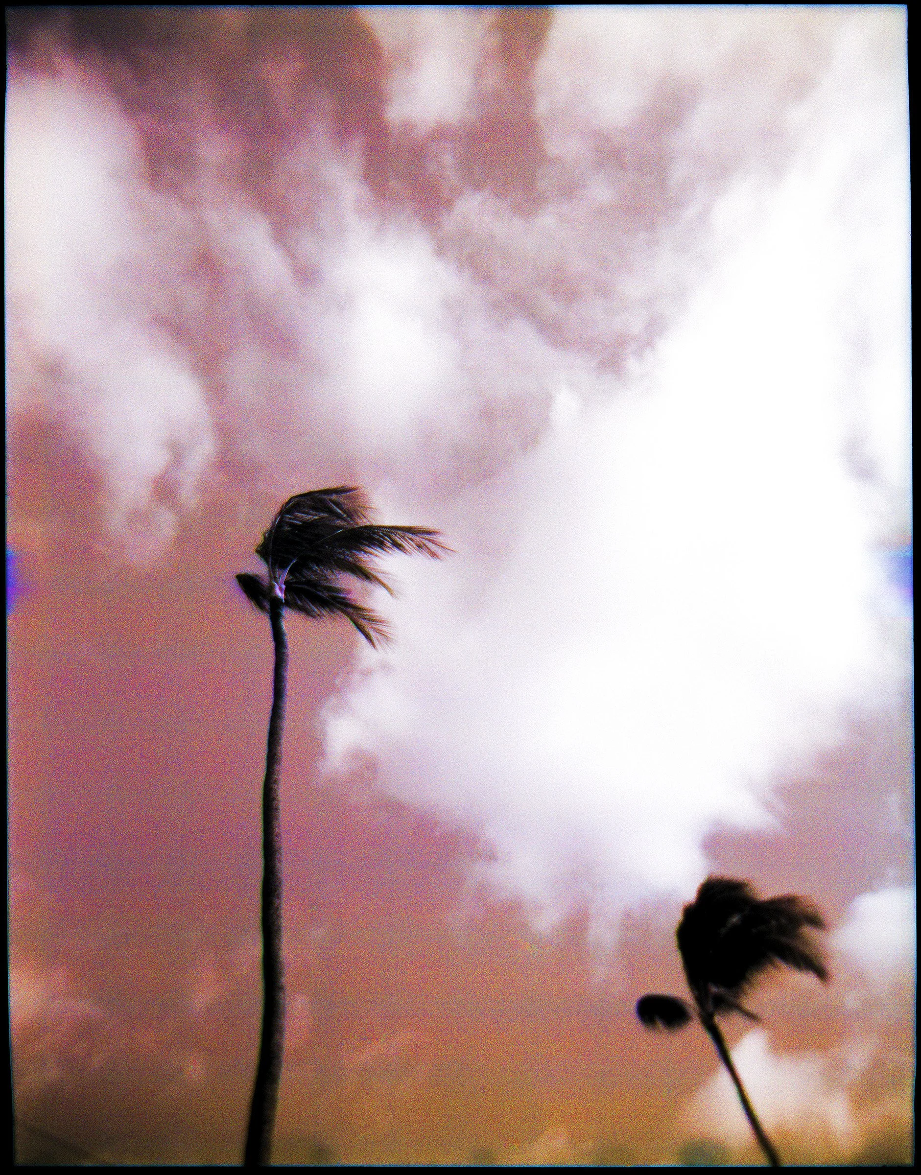 9_TradeWindsI_AnaloguePhotograph_16x20_1750.jpg
