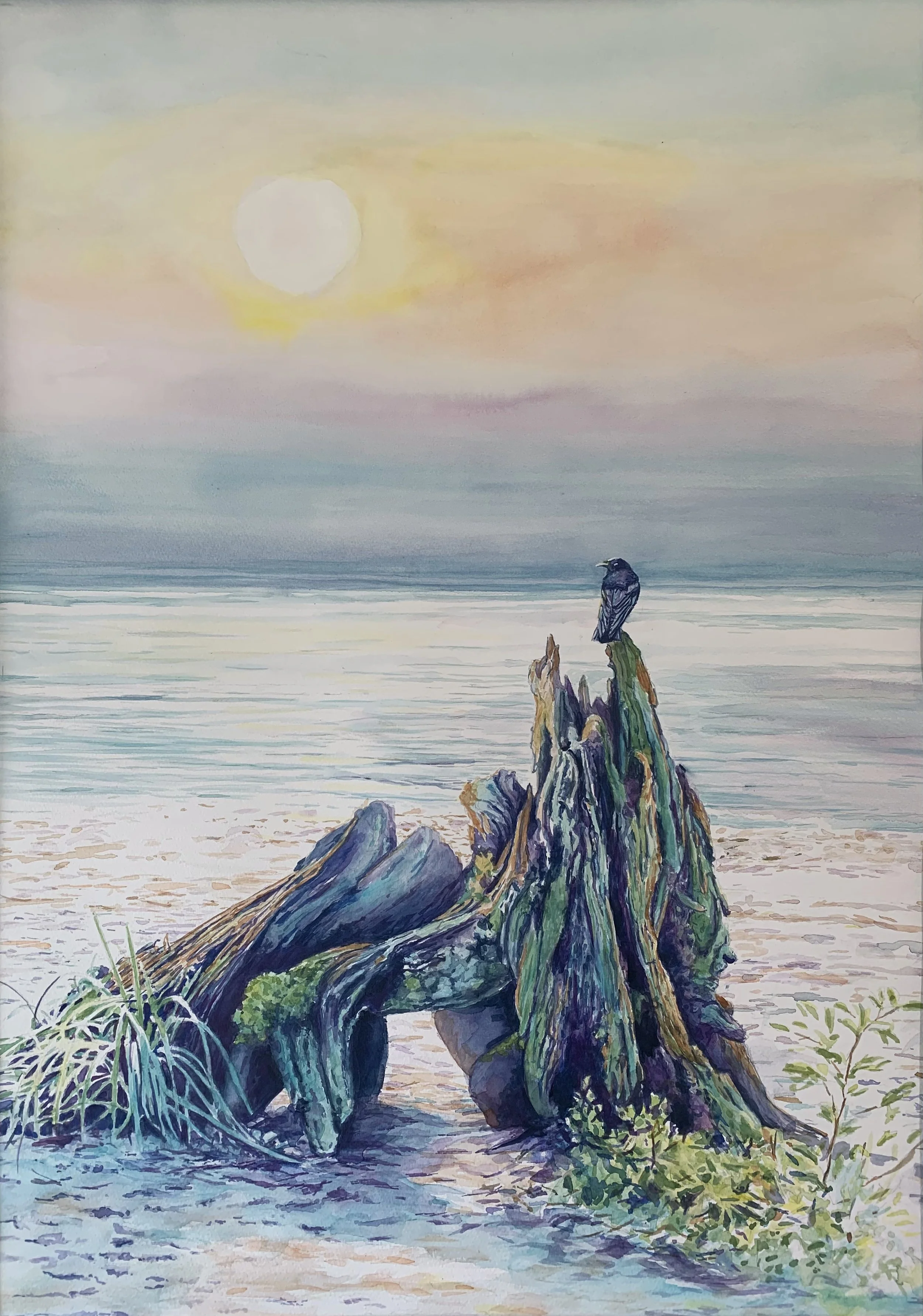   MICHAEL BROUILLET  