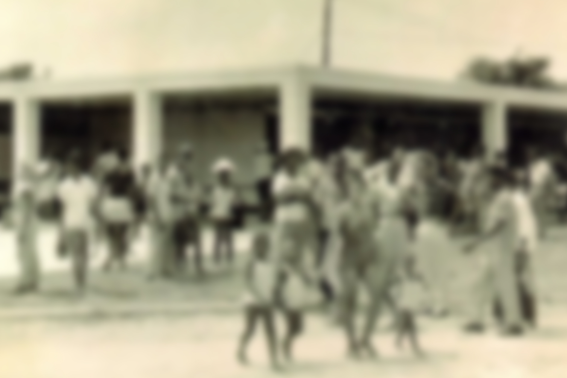 Read The Unique History Of Virginia Key Learn More