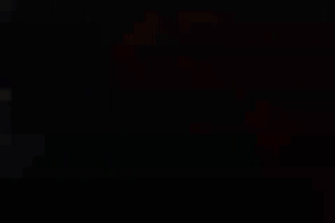 New York By Bicycle 1 abstract section.gif