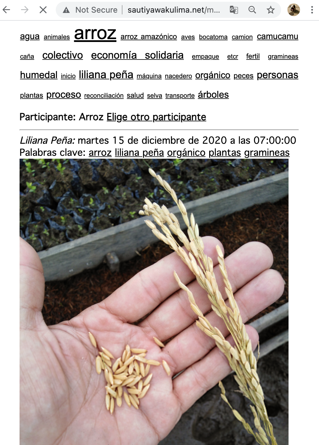 Screen Shot 2021-06-30 at 8.22.01 AM.png