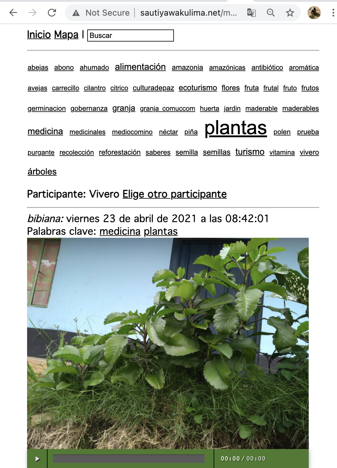 Screen Shot 2021-06-30 at 8.22.22 AM.png