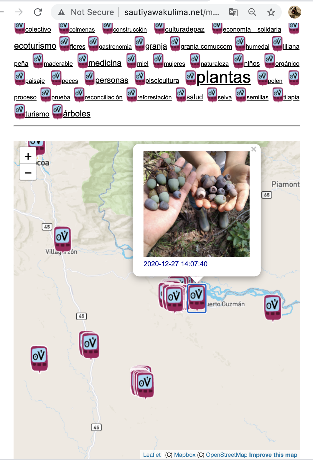 Screen Shot 2021-06-30 at 8.24.12 AM.png