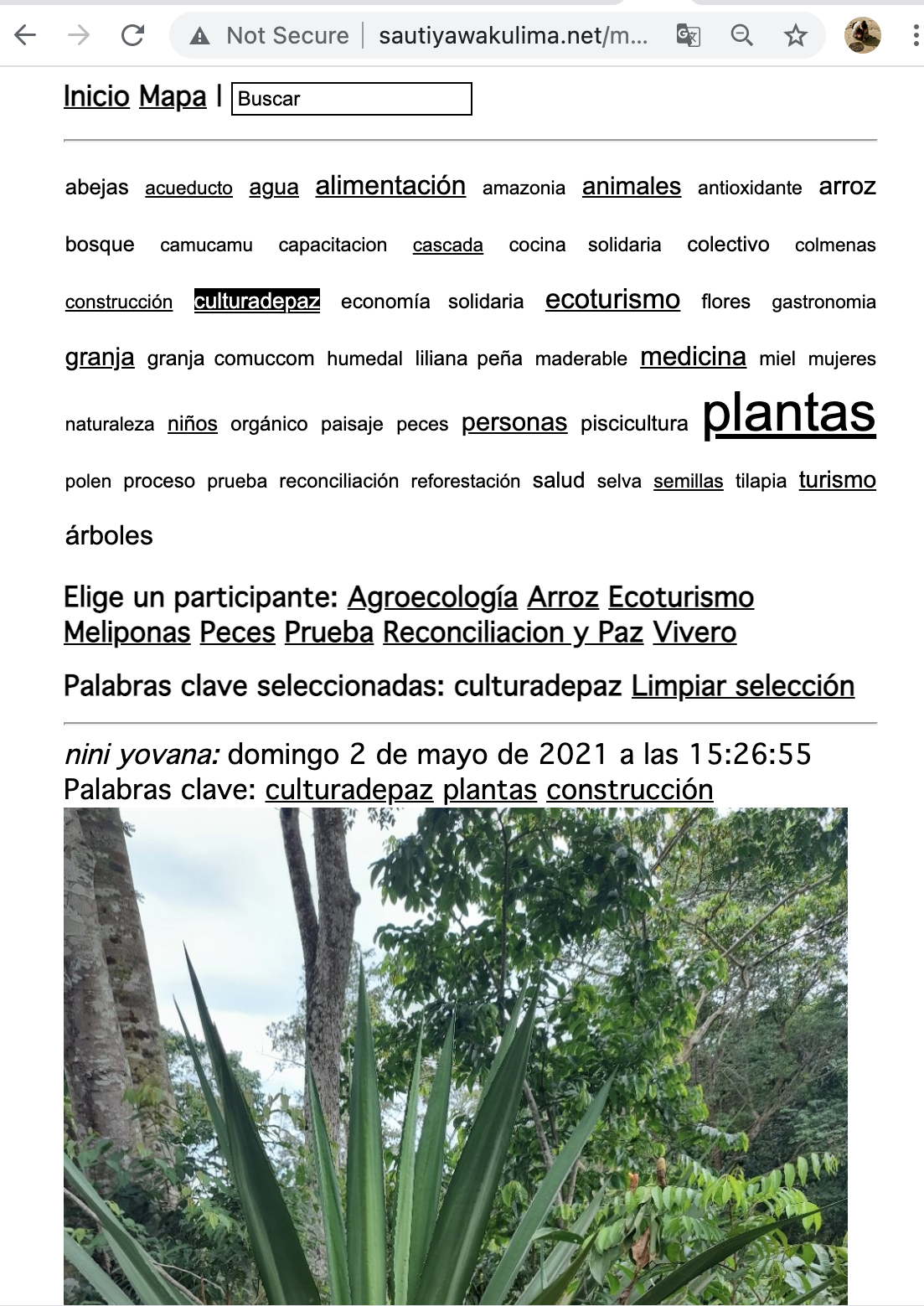 Screen Shot 2021-06-30 at 8.24.38 AM.png