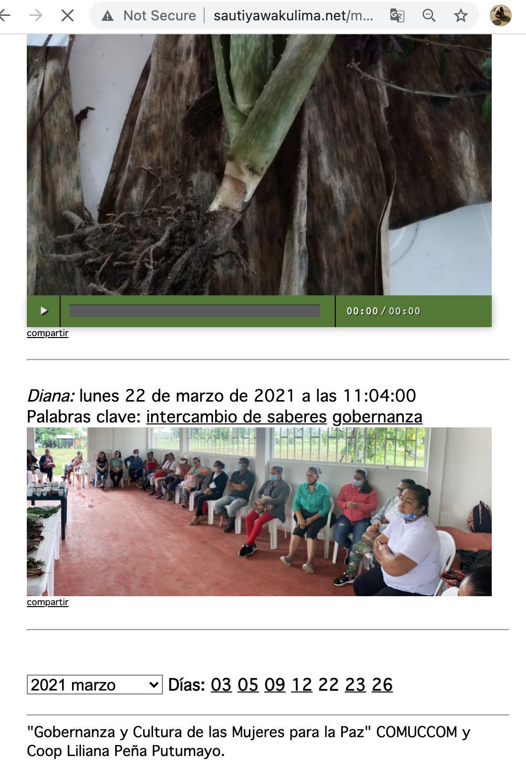 Screen Shot 2021-06-30 at 8.27.51 AM.png