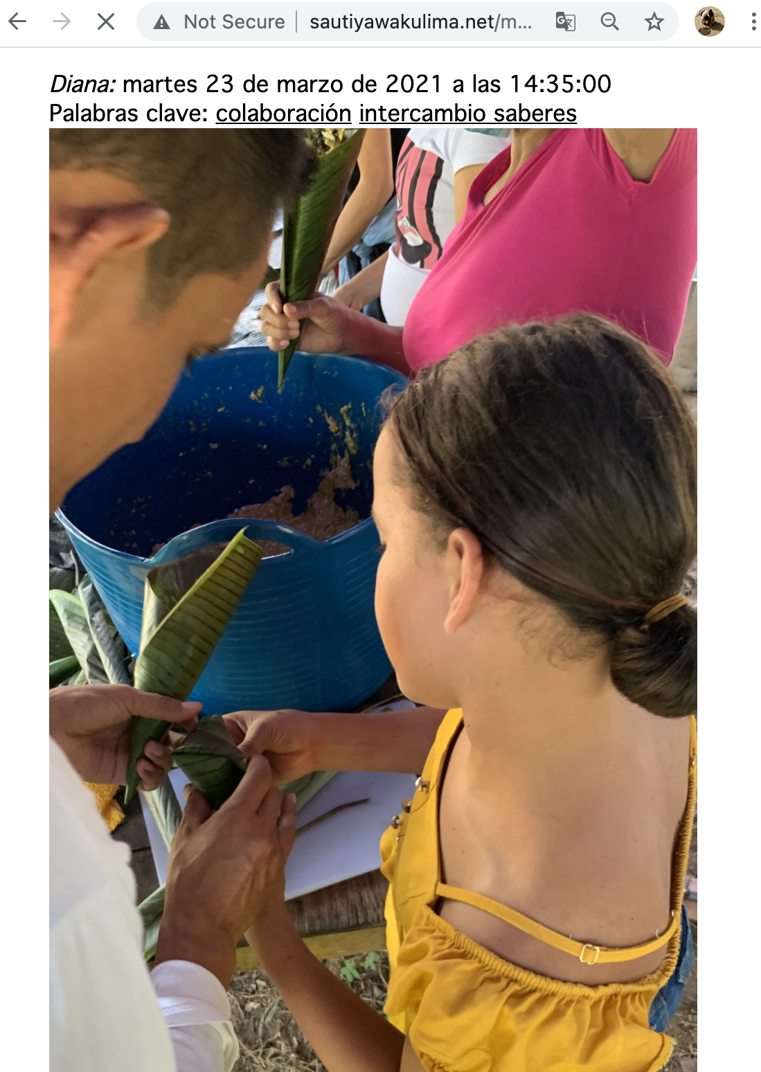 Screen Shot 2021-06-30 at 8.28.21 AM.png