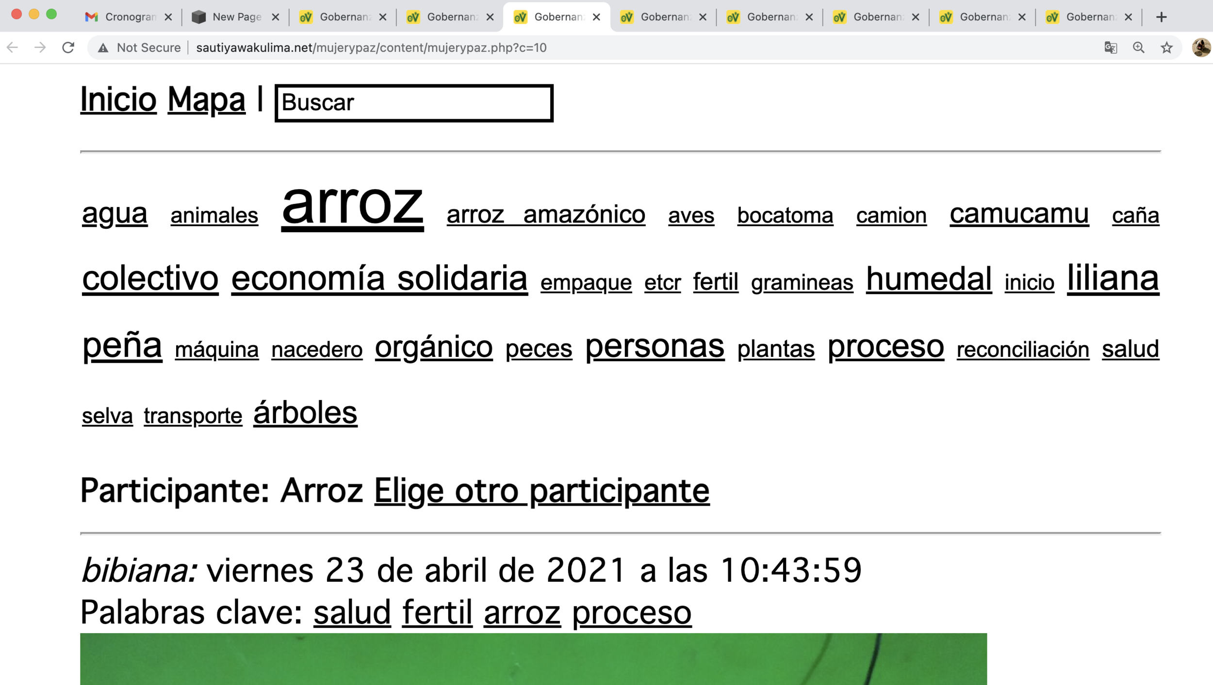 Screen Shot 2021-06-30 at 8.20.15 AM.png