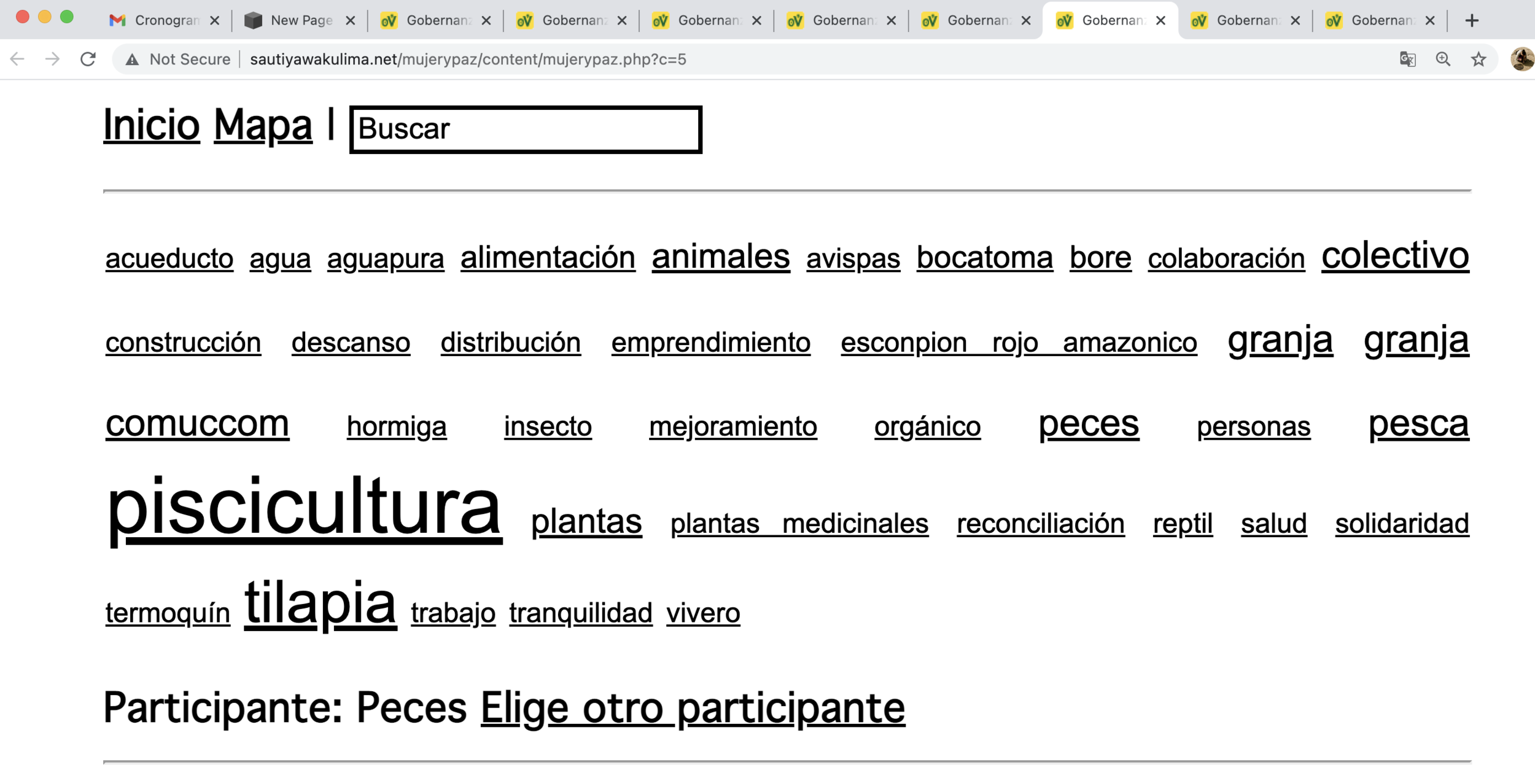 Screen Shot 2021-06-30 at 8.20.32 AM.png