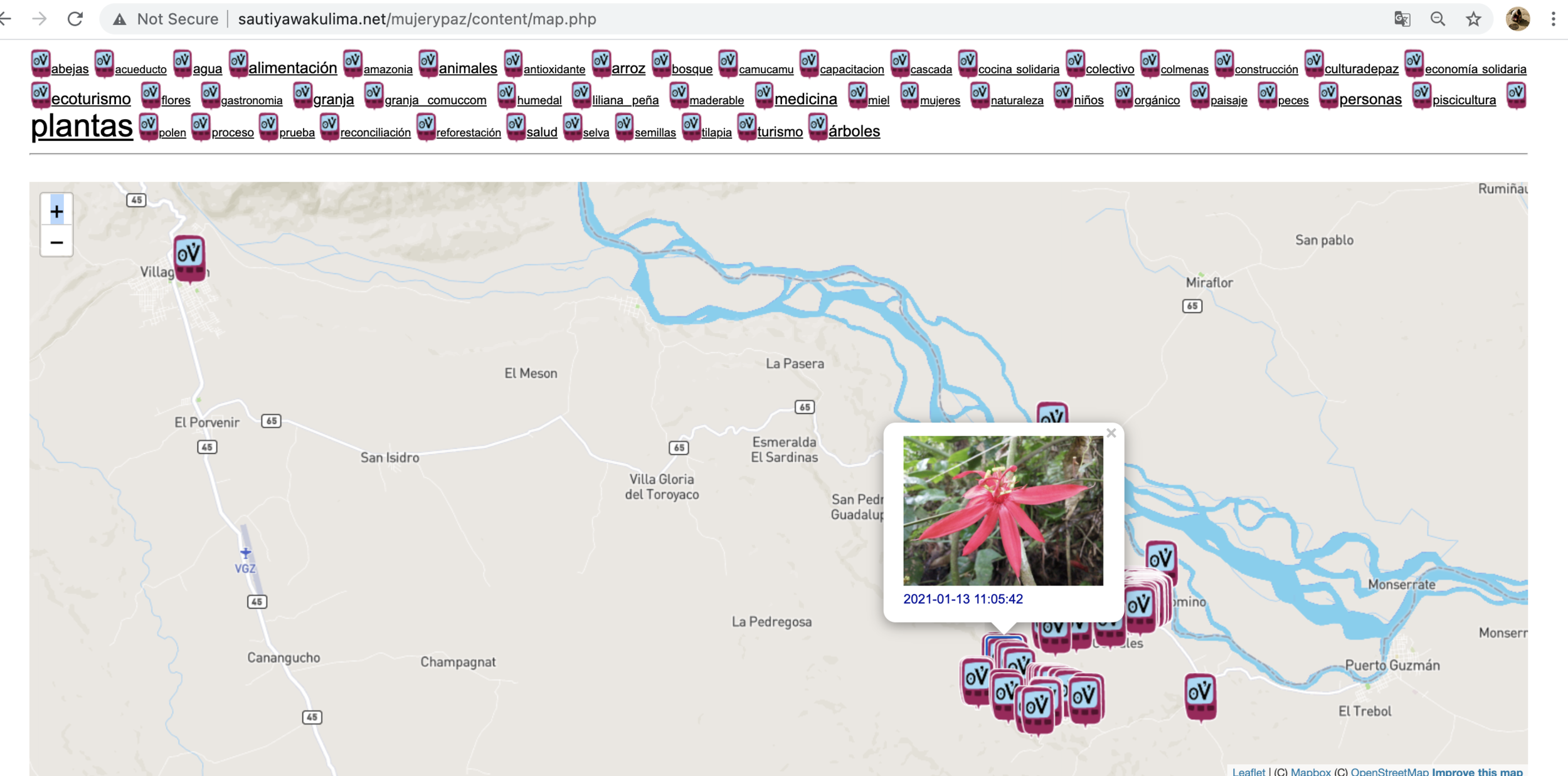 Screen Shot 2021-06-30 at 8.30.41 AM.png