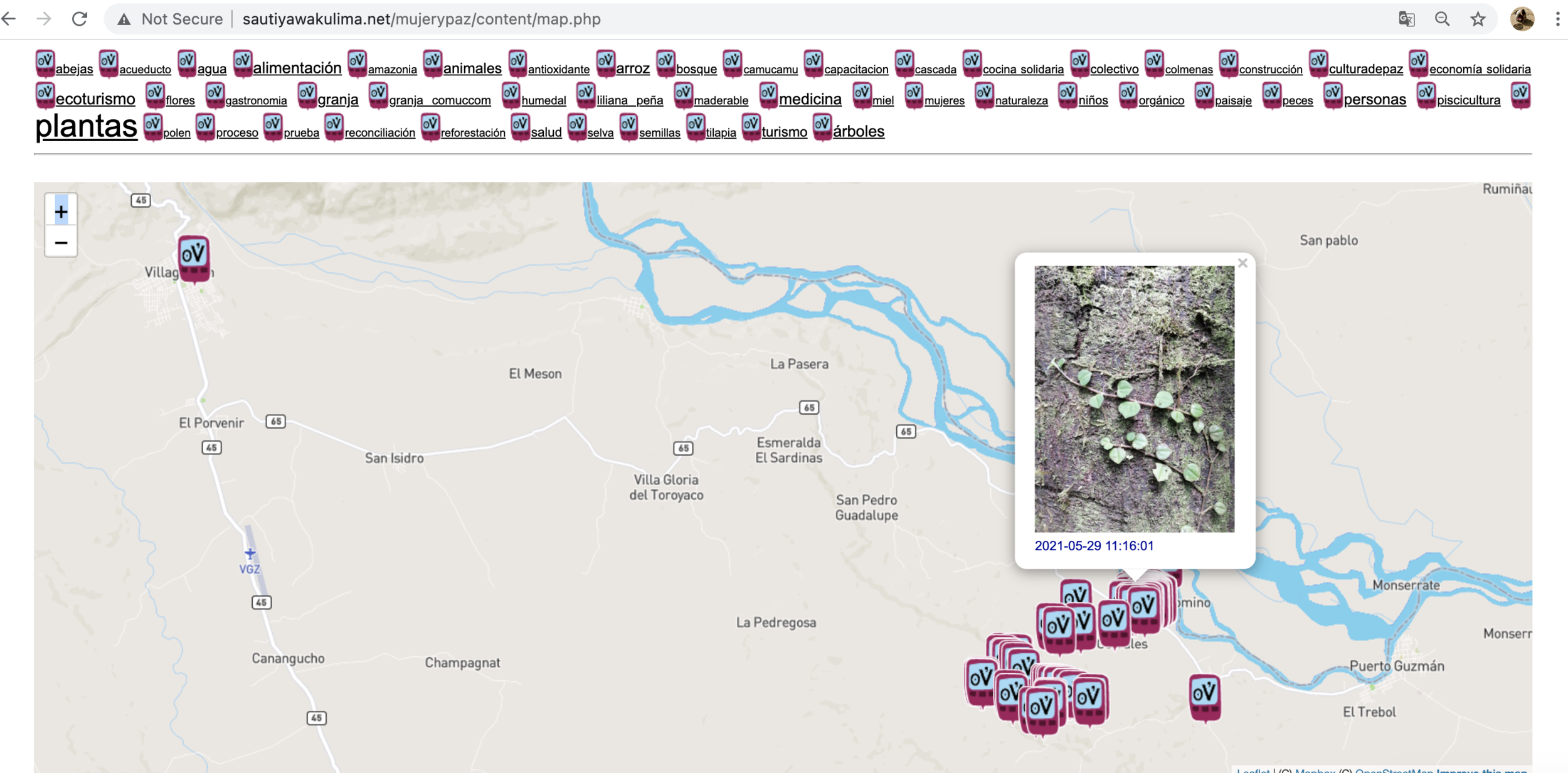 Screen Shot 2021-06-30 at 8.31.06 AM.png