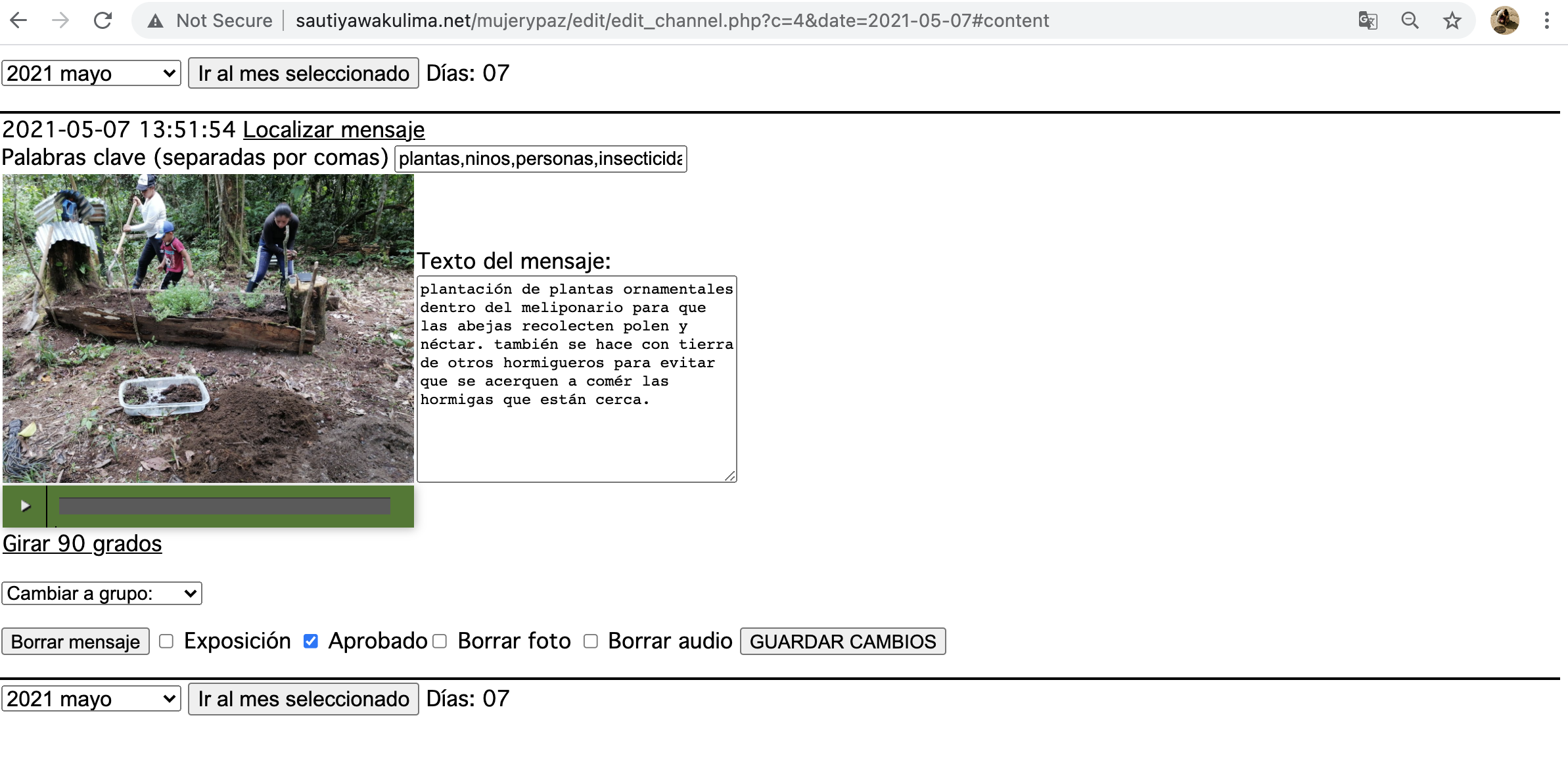 Screen Shot 2021-06-30 at 8.39.32 AM.png