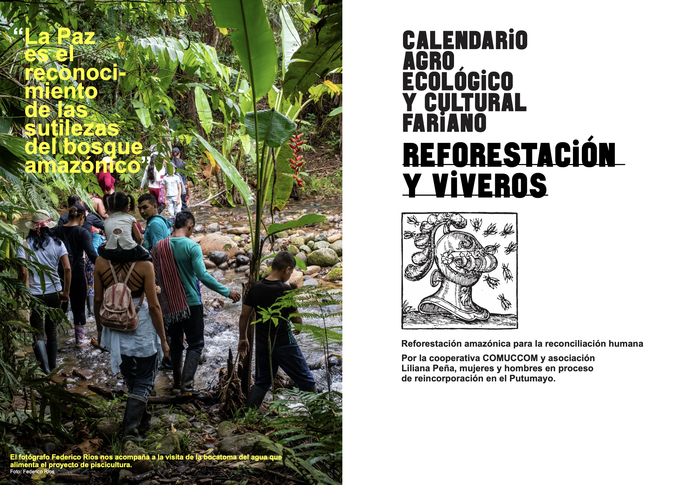 Screen Shot 2021-06-30 at 10.51.30 AM.png