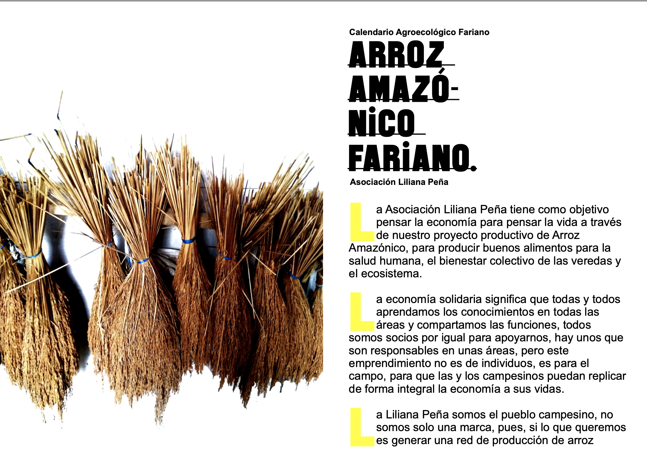 Screen Shot 2021-06-30 at 10.51.54 AM.png