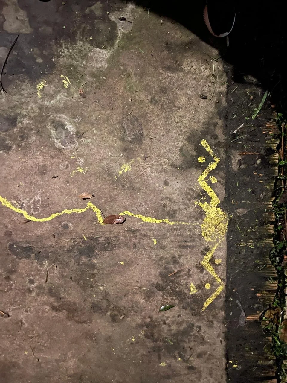 WhatsApp Image 2025-05-29 at 15.42.30 (5).jpeg