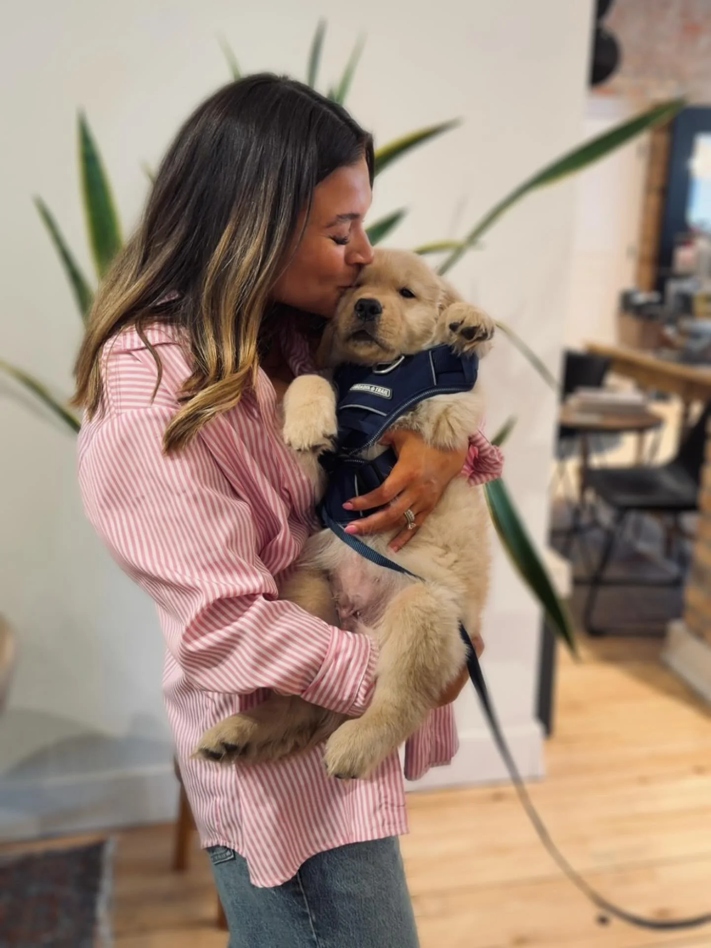 Someone yells *puppy* and the salon goes crazy 💕
&bull;ft. Goose 🐶