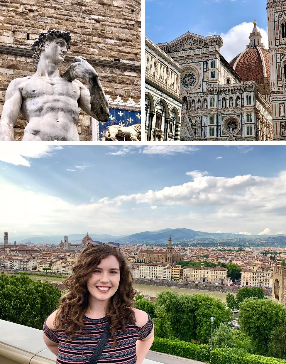 Statue of David in Loggia Dei Lanzi, Cathedral of Sante Maria sea Fiore, view of Florence from Pizzale Michelangelo, Florence, Italy