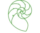 shell-3.jpg