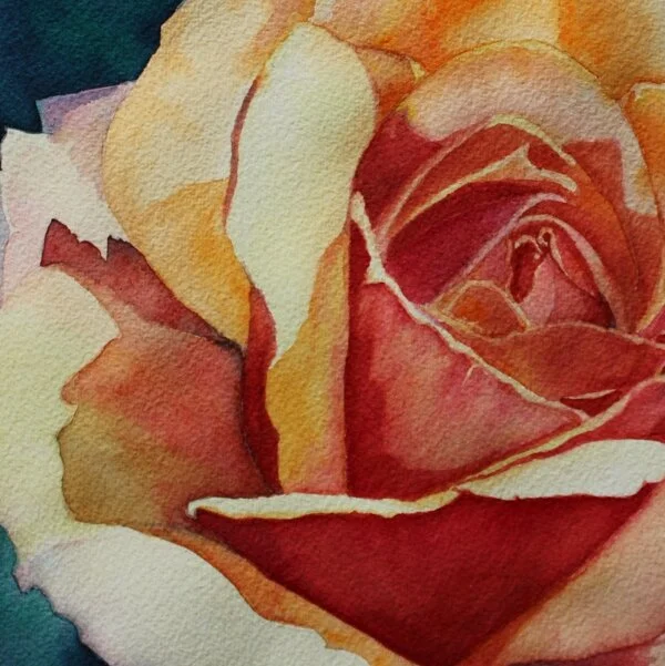 Summer Rose, detail of 8x8” watercolor. Original Sold. Limited Edition Prints available.