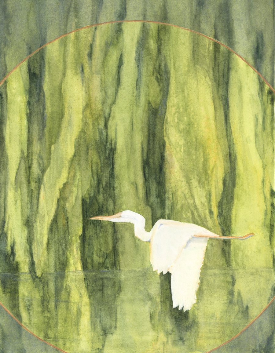 White-Crane-And-Willows_Tia-Sunshine_12x16inch.jpeg