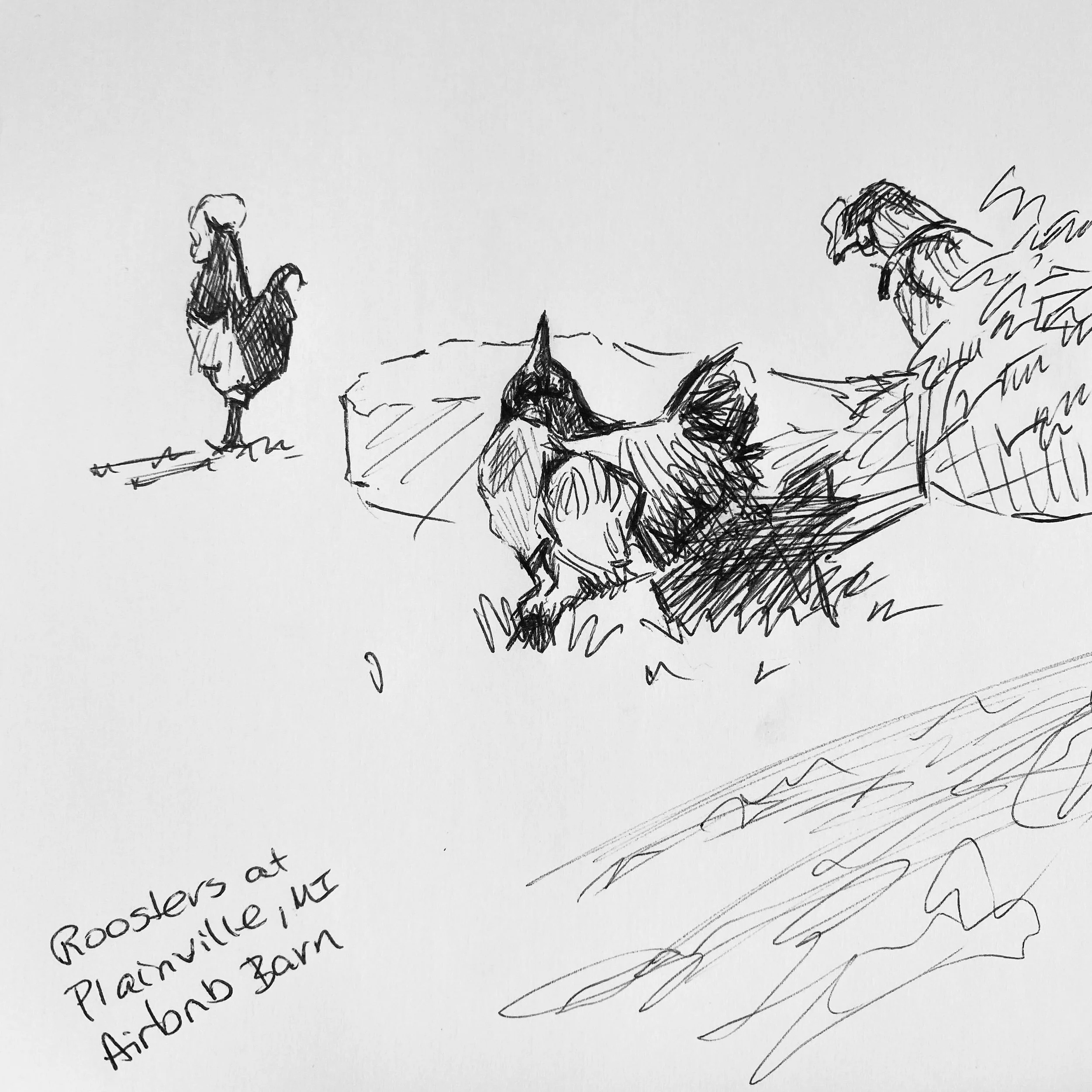 I was practice drawing sketches a lot at the start of the year, and then I stopped. I was reminded to start again and sketch every day. So, here are the 3 roosters who replaced my alarm clock.