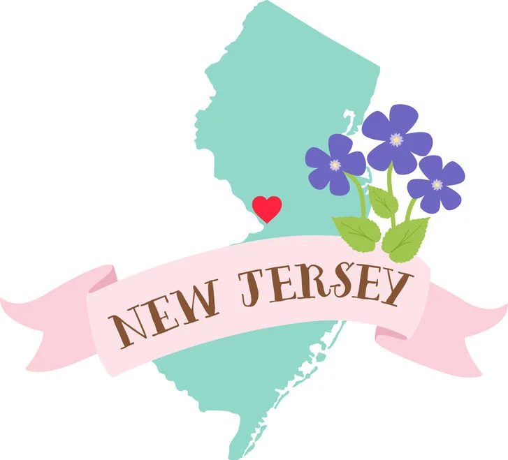 Surrogates-New-Jersey-Map.jpg
