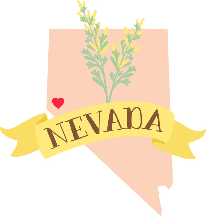 nevada-surrogacy-map.jpg