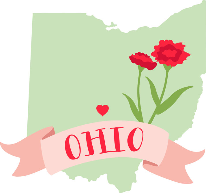 Ohio-surrogacy-map.jpg