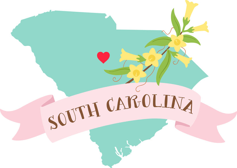 south-carolina-surrogacy-map.jpg