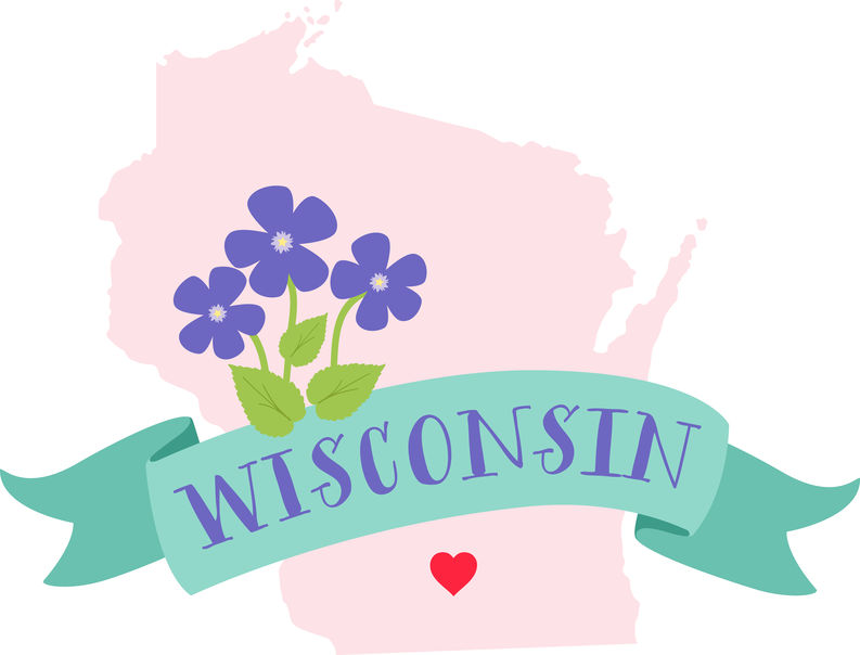 wisconsin-surrogacy-map.jpg