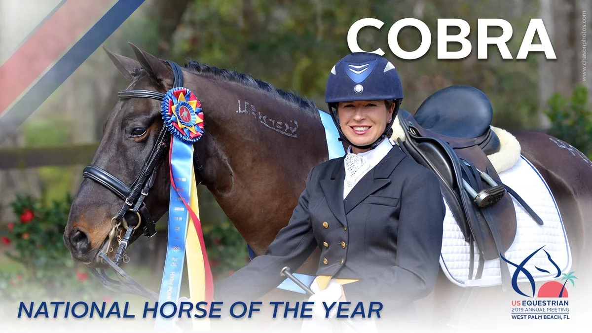 Nevada Mustang Named USEF National Horse of the Year