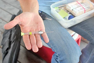 Above is an example of a dart used to give mares infertility for one year without effecting the gene pool or any natural born behaviors.