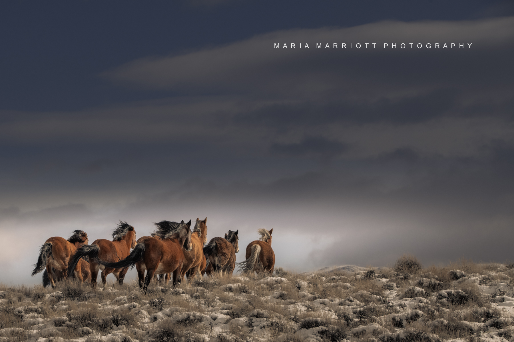 Maria's Dream Come True!