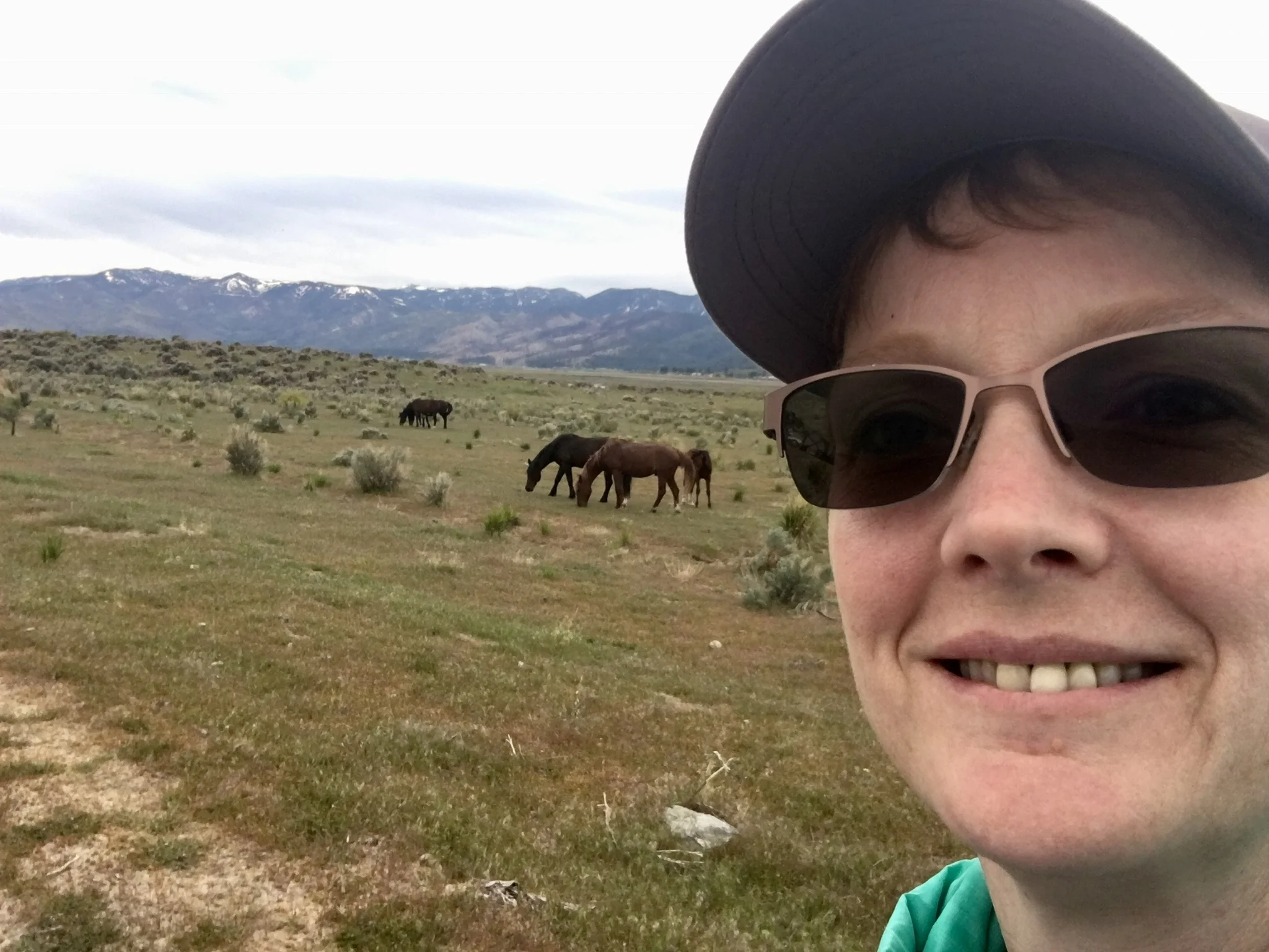Stephanie and the Fish Springs horses. We love seeing your wild horse selfies!