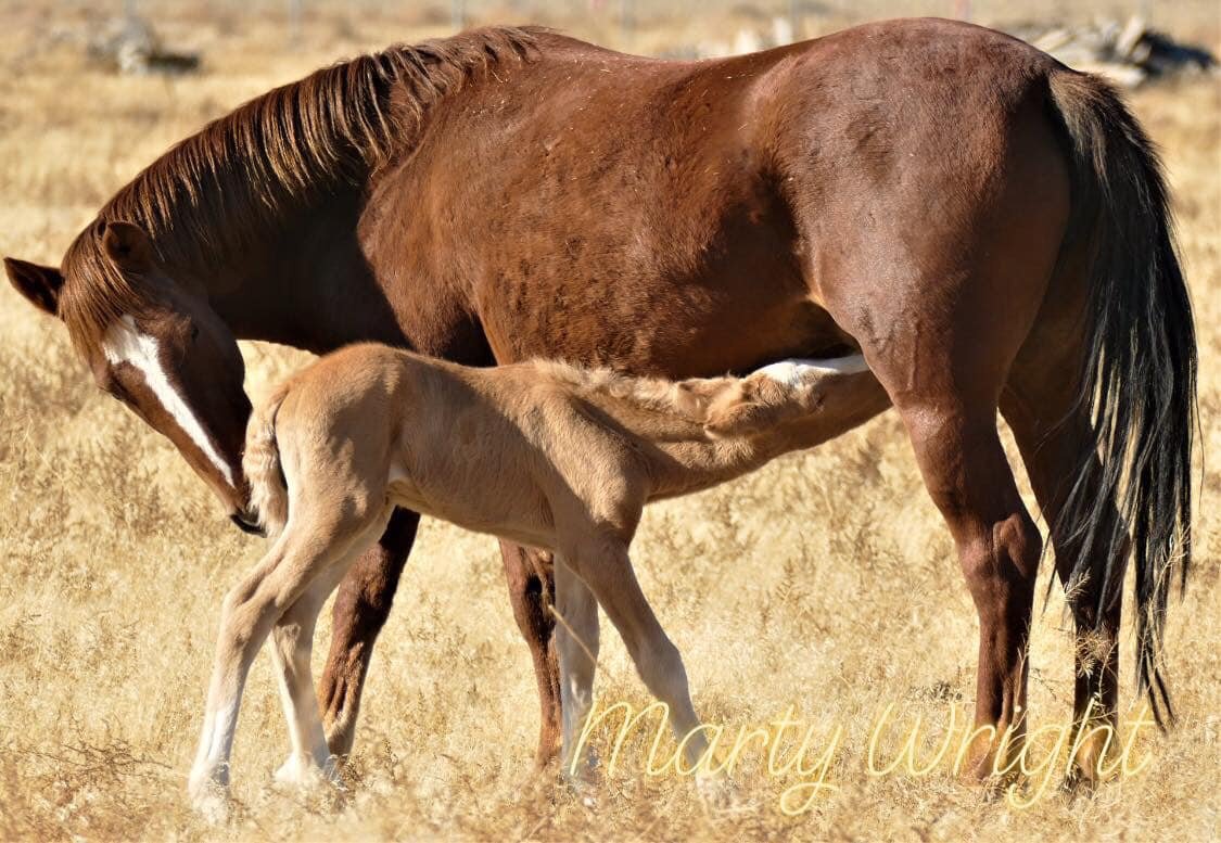 mom and baby marty wright .jpg