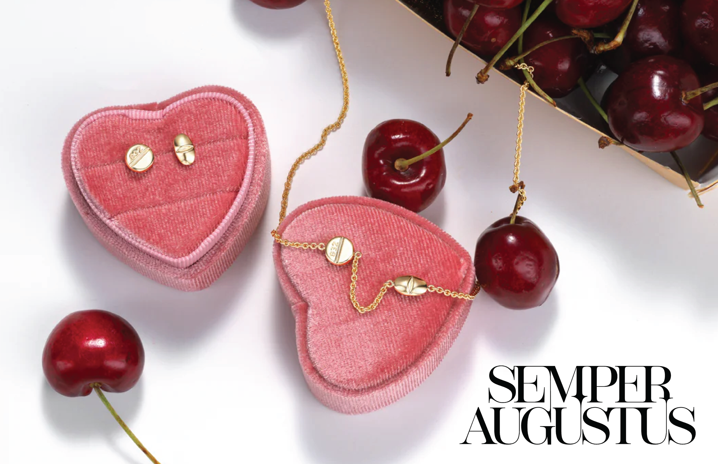 Semper Augustus for Website_v2-05.png