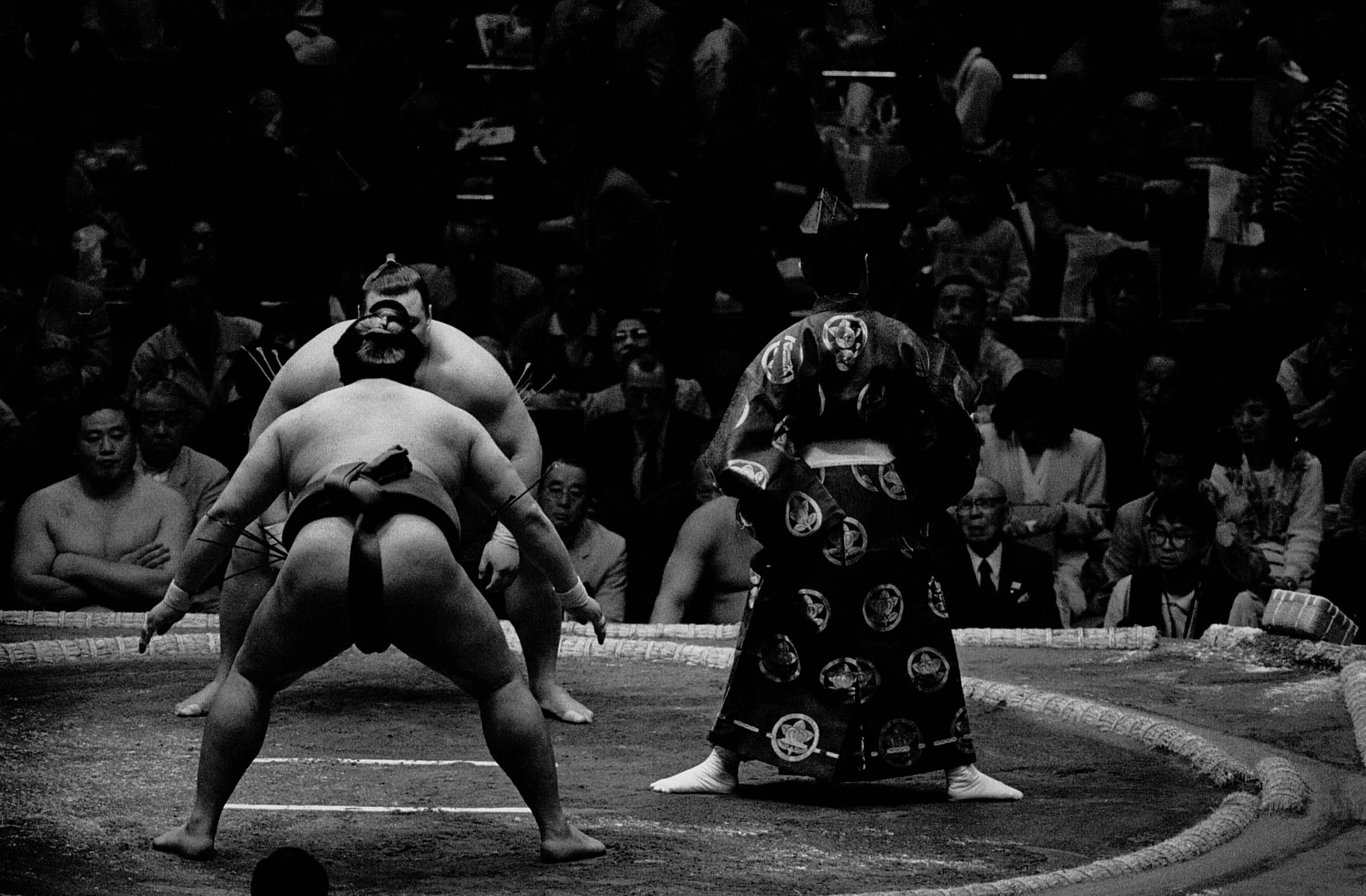 Sumo 1.jpg