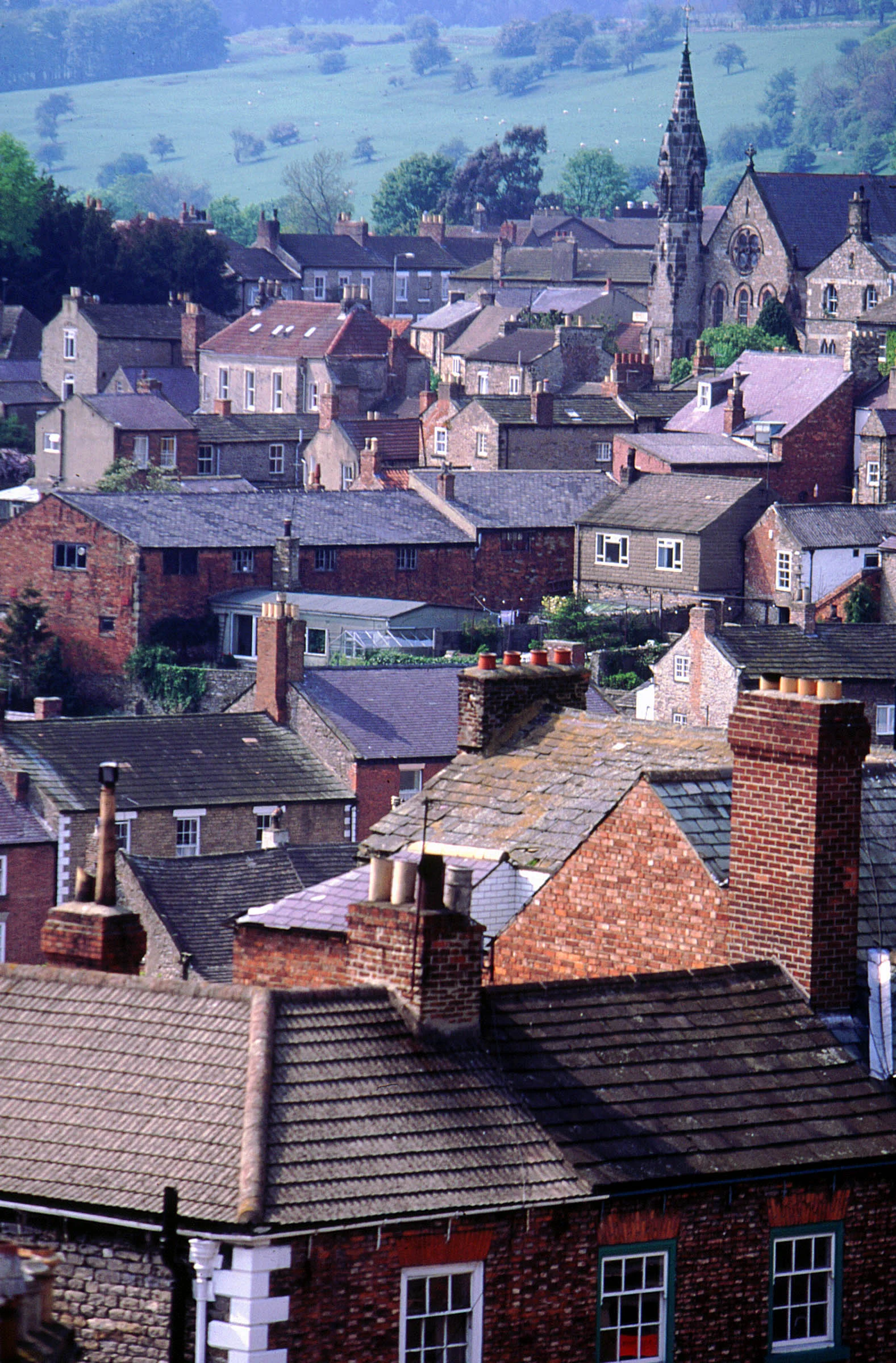 Image_12a.jpg