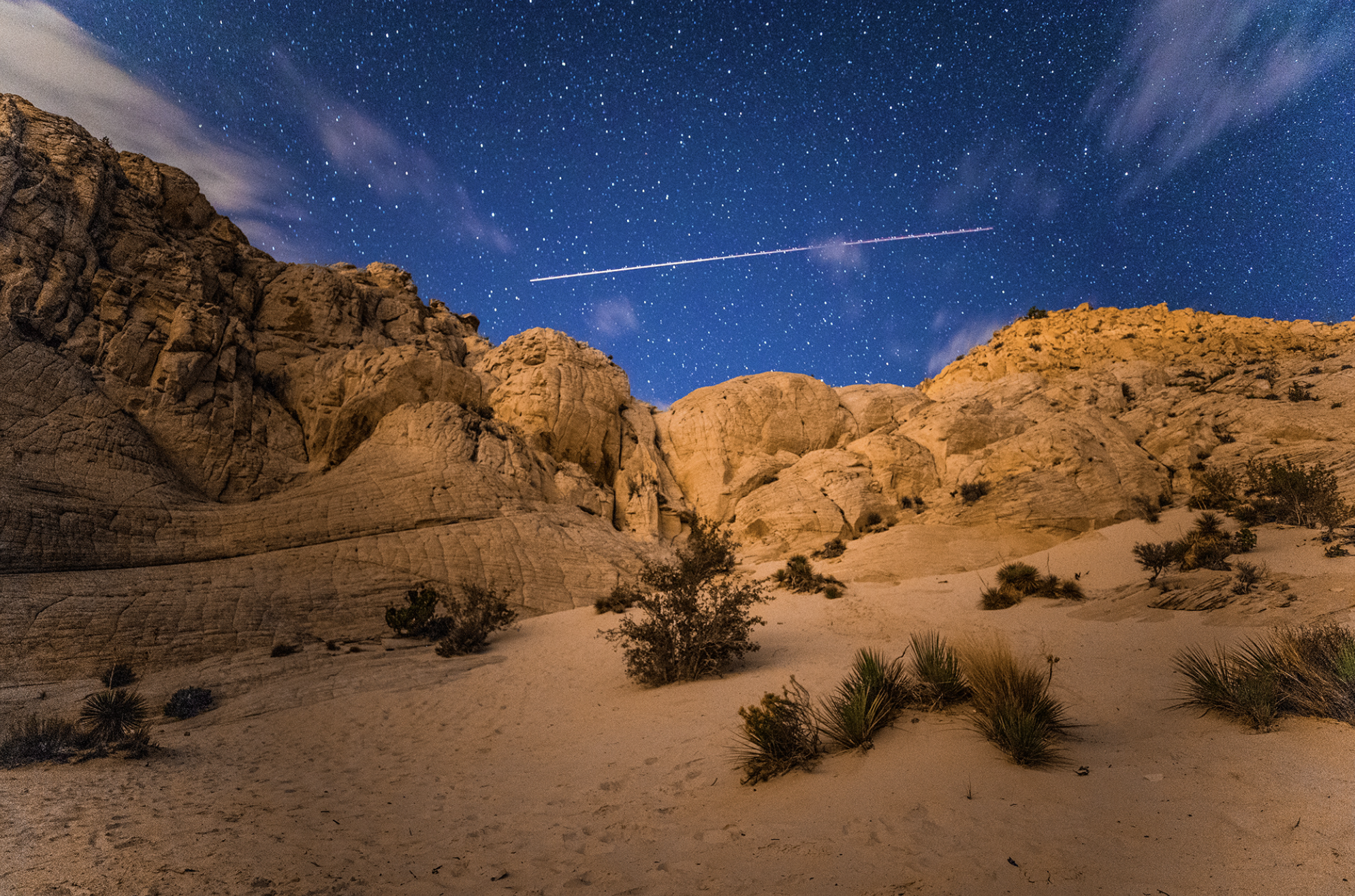 Screen Shot 2021-08-05 at 5.24.11 PM.png