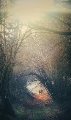 couple walking in woods-min.jpg