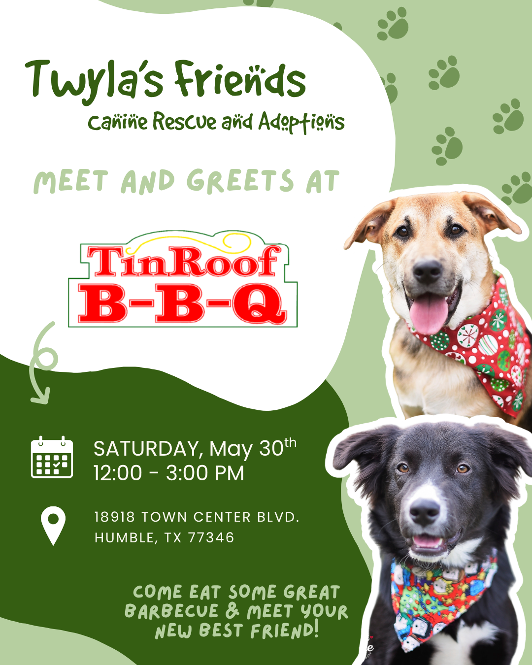 Twyla's Friends Doggie Adoption Day