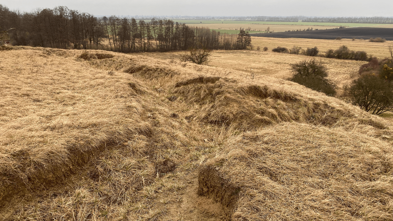 Overgrown trench line cut into a field on the Seelow Heights, part of the German defensive positions